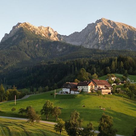Singerskogel - Ferienhof Und Jausnstub'N Spital Am Pyhrn Buitenkant foto
