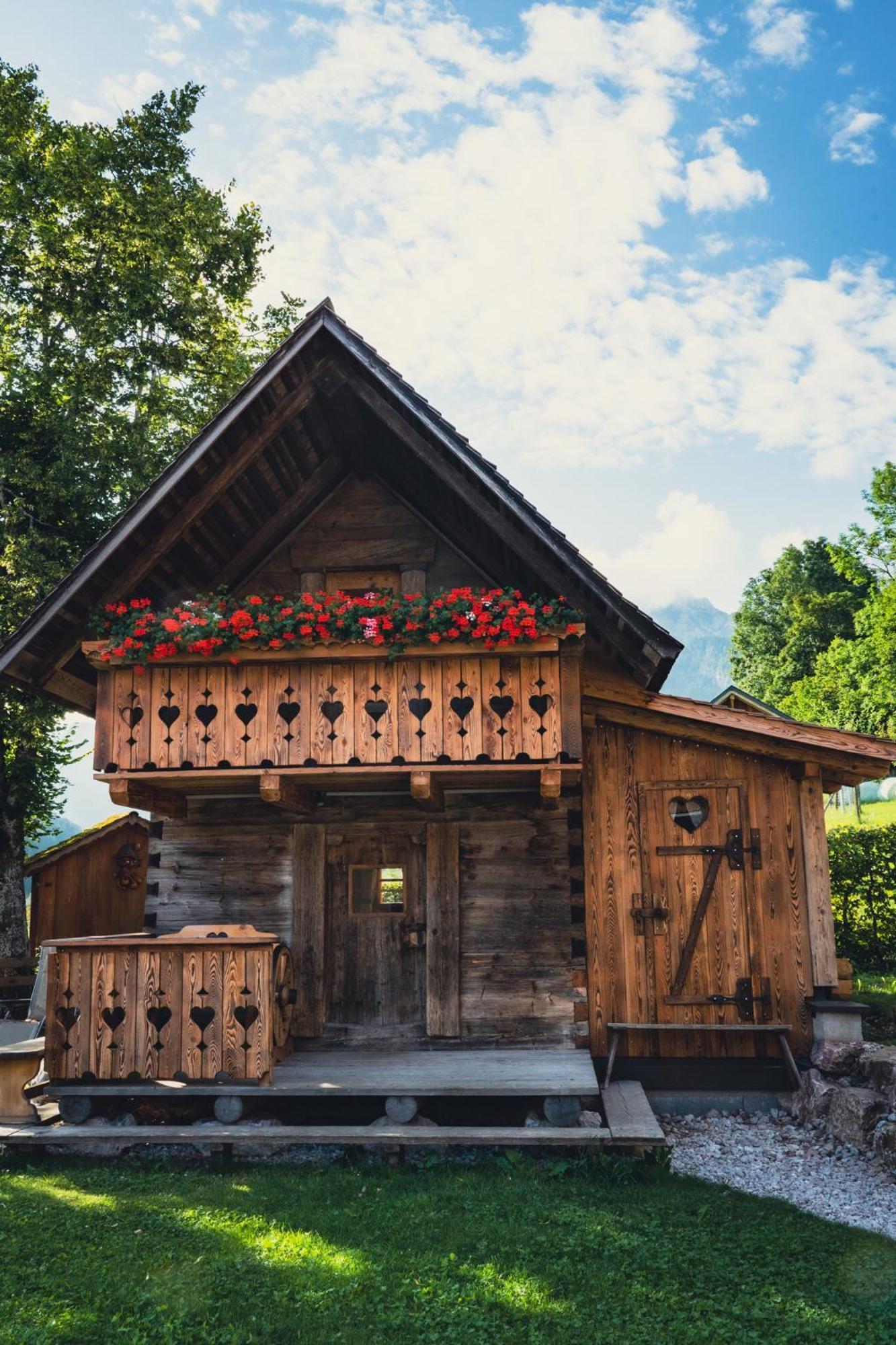 Singerskogel - Ferienhof Und Jausnstub'N Spital Am Pyhrn Buitenkant foto
