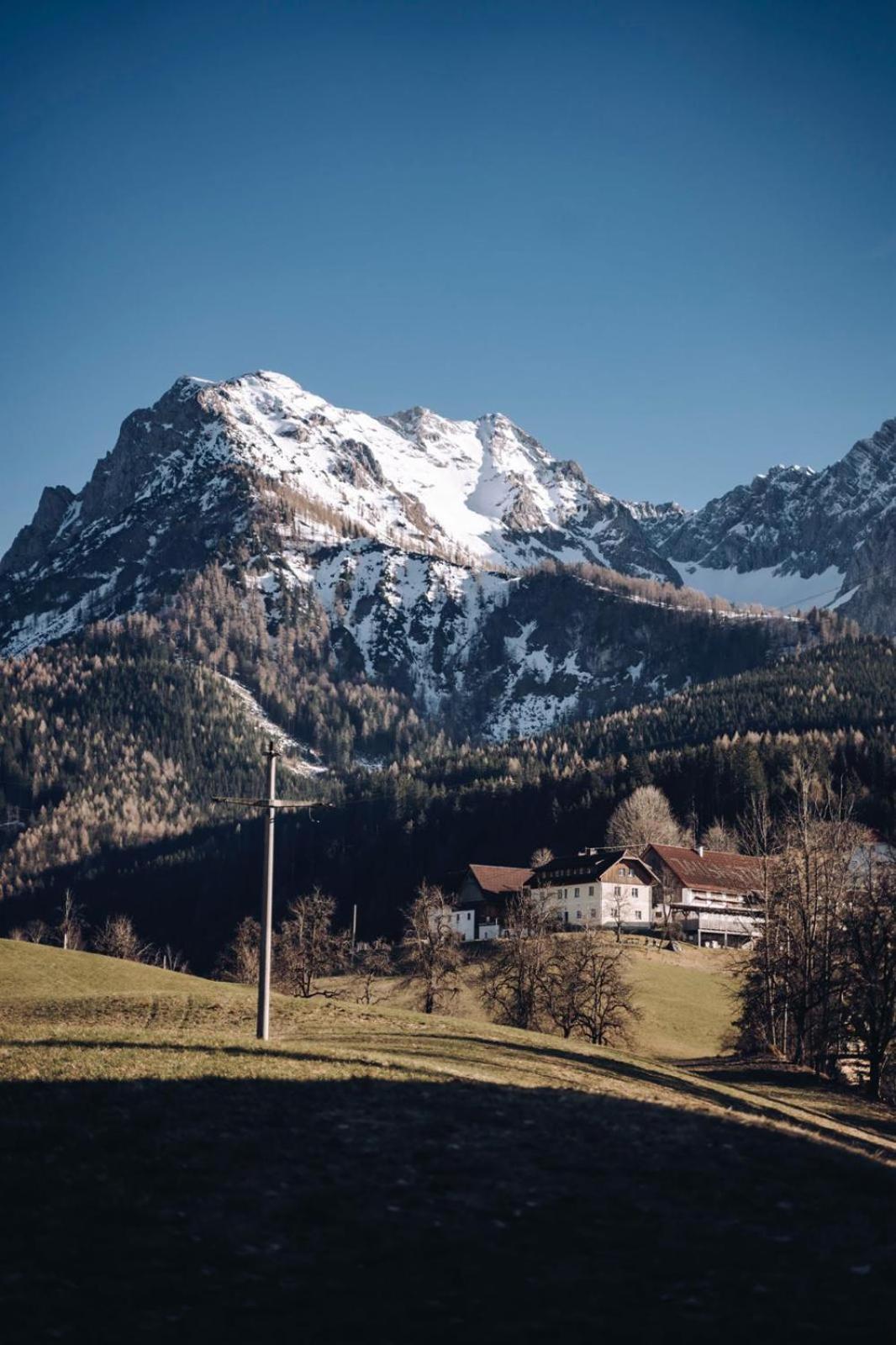 Singerskogel - Ferienhof Und Jausnstub'N Spital Am Pyhrn Buitenkant foto