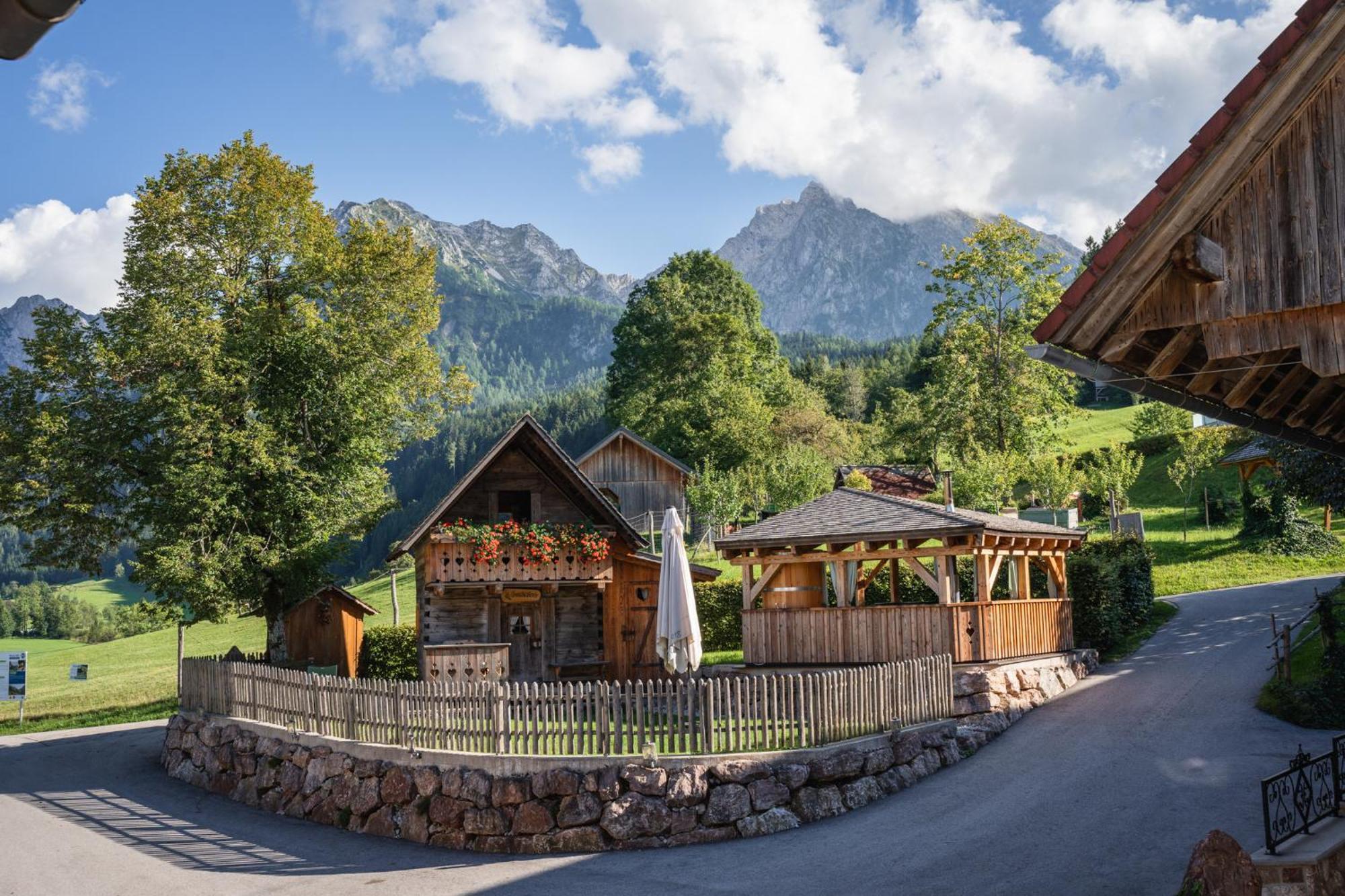 Singerskogel - Ferienhof Und Jausnstub'N Spital Am Pyhrn Buitenkant foto