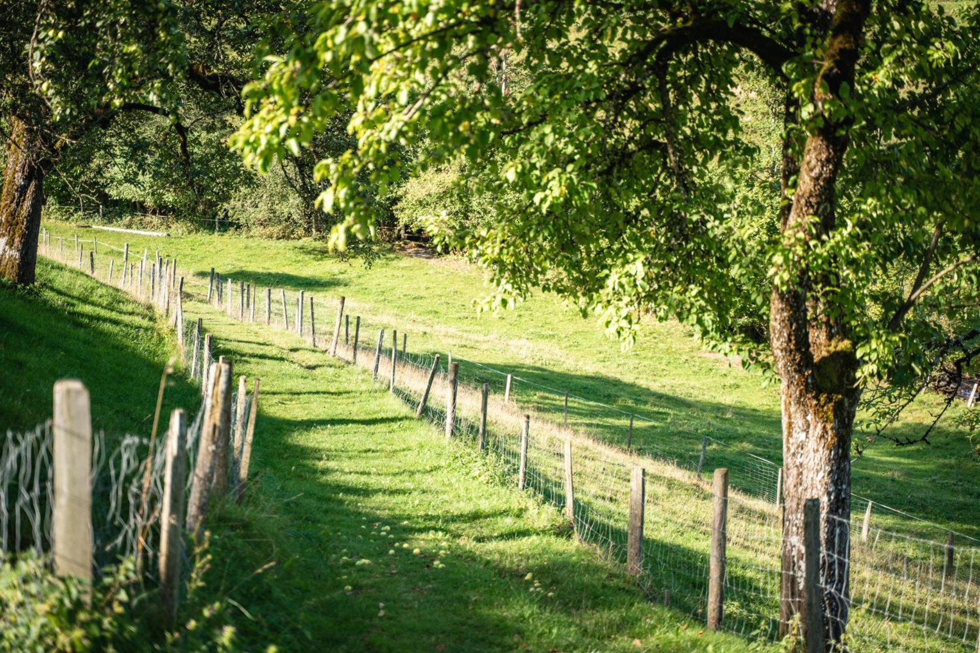 Singerskogel - Ferienhof Und Jausnstub'N Spital Am Pyhrn Buitenkant foto