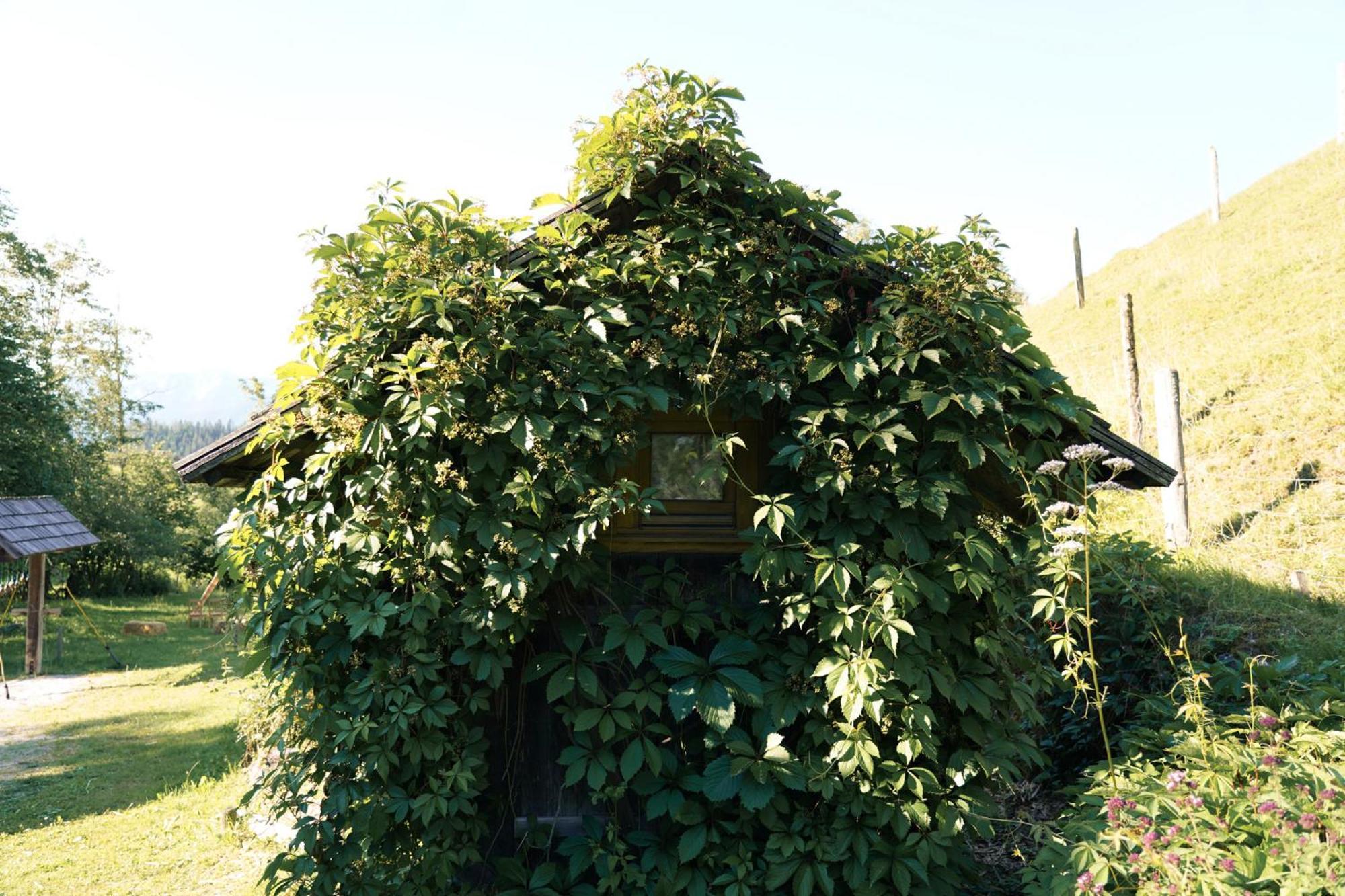 Singerskogel - Ferienhof Und Jausnstub'N Spital Am Pyhrn Buitenkant foto
