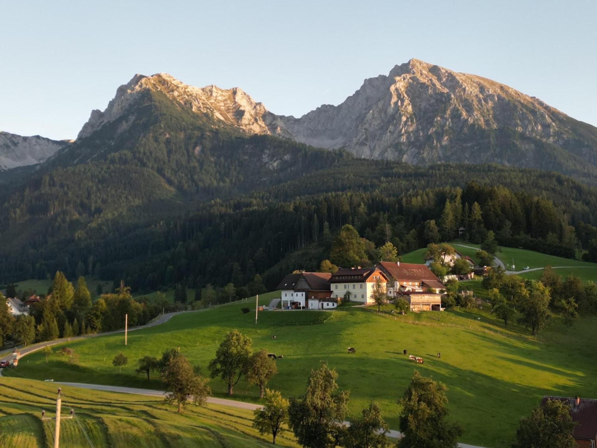 Singerskogel - Ferienhof Und Jausnstub'N Spital Am Pyhrn Buitenkant foto