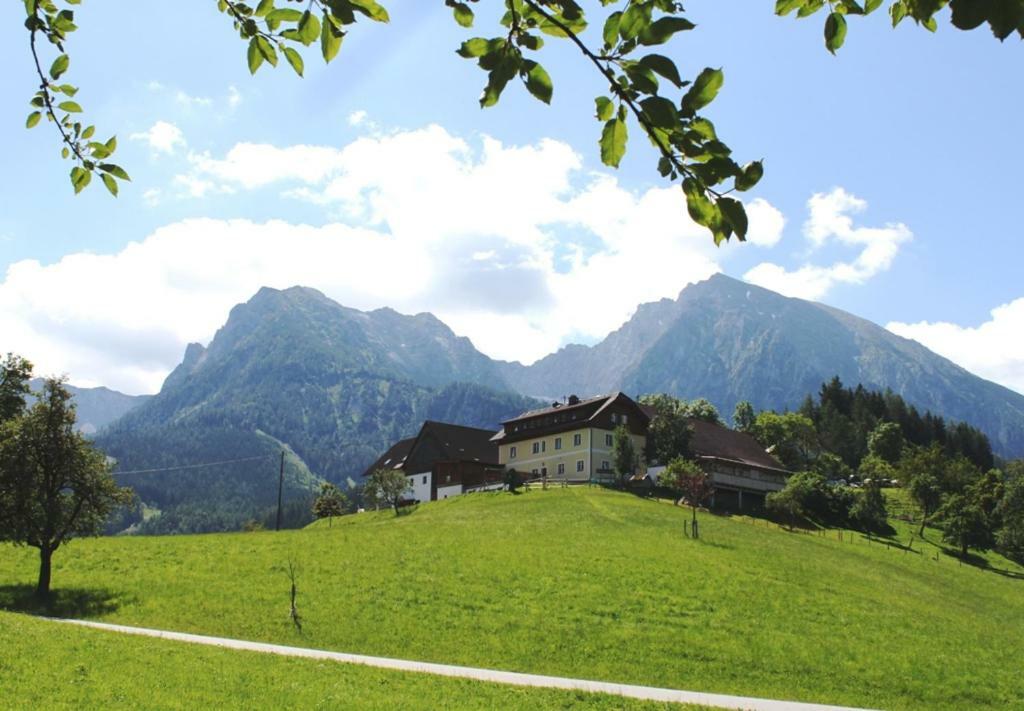 Singerskogel - Ferienhof Und Jausnstub'N Spital Am Pyhrn Buitenkant foto